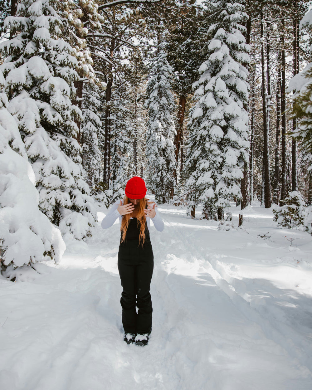 Why Are Your Hair Dry and Static in Winter? (And How to Fix It Fast)