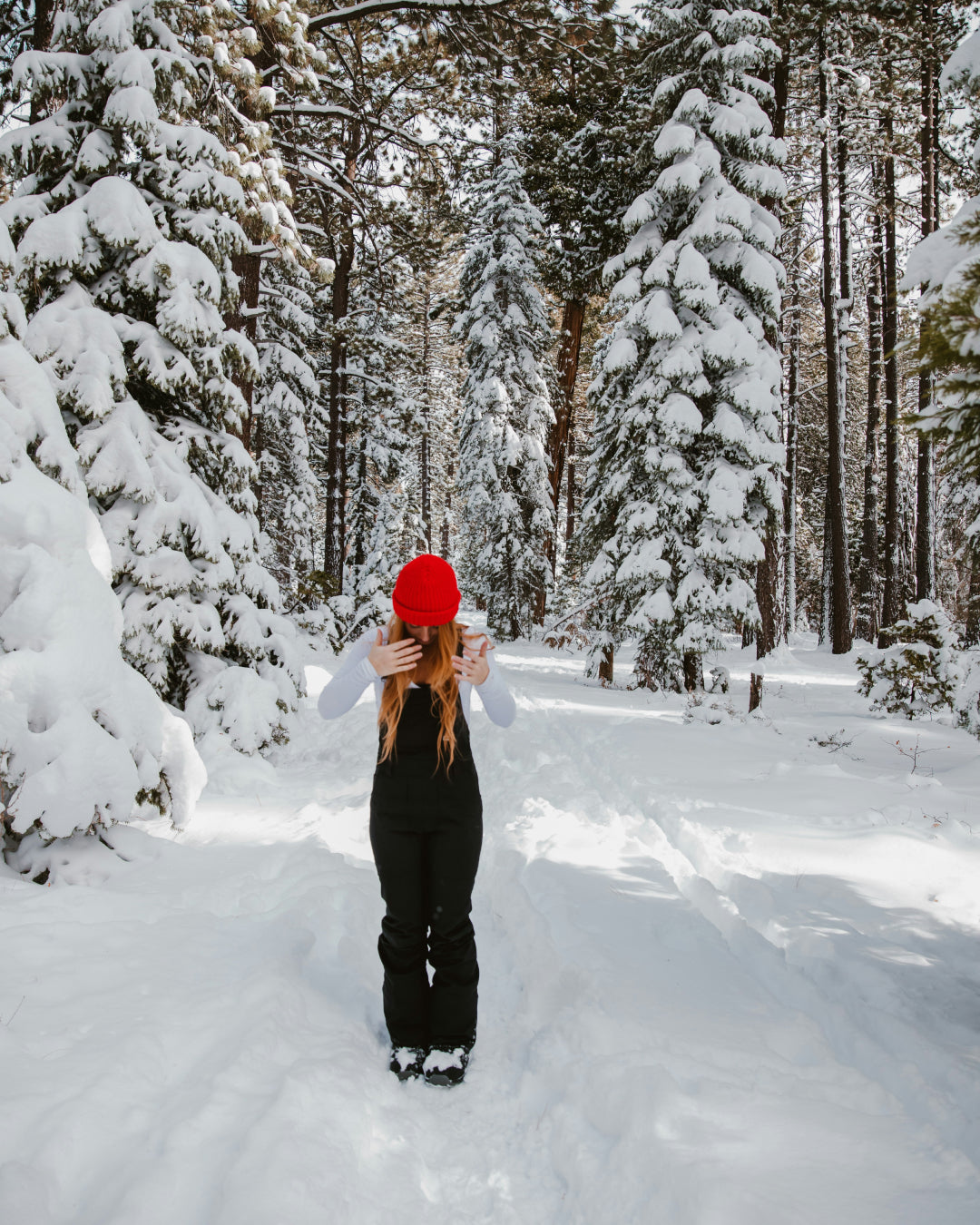 Why Are Your Hair Dry and Static in Winter? (And How to Fix It Fast)