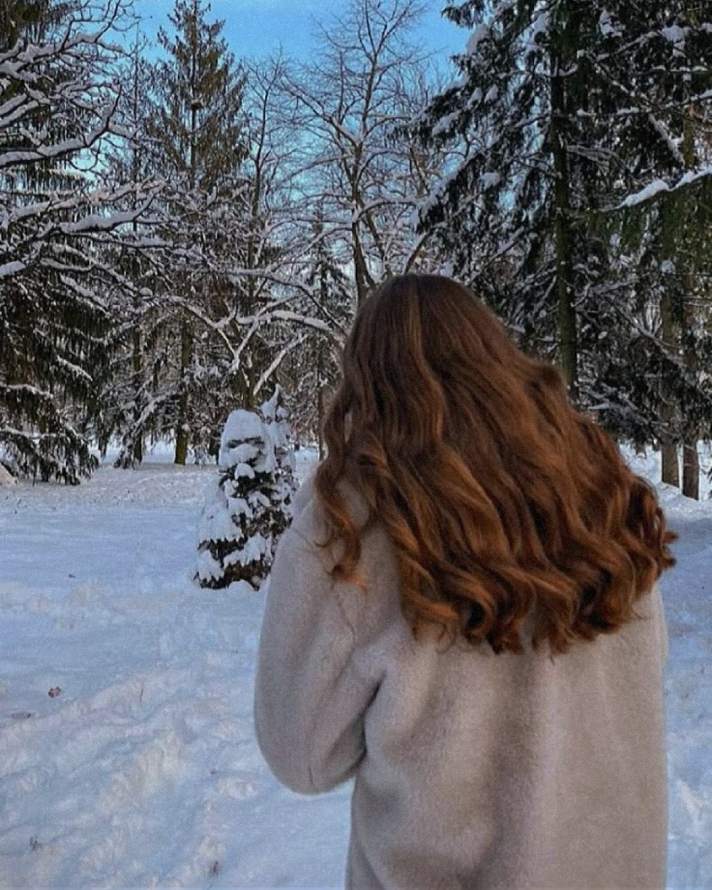 Why Are Your Hair Dry and Static in Winter? (And How to Fix It Fast)